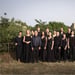 Ensemble Musicatreize