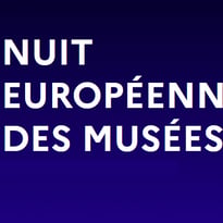 Nuit des musées à Alise sainte Reine