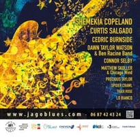 Blues Blast Festival