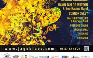 Blues Blast Festival