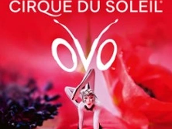 Cirque du Soleil OVO