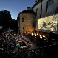 Ciné-concert Flow, le chat qui n'avait plus peur de l'eau