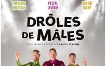 Drôles de Mâles