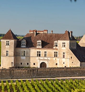 Découverte du château du Clos de Vougeot