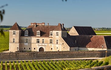 Découverte du château du Clos de Vougeot