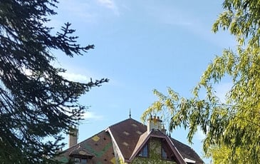 Découverte de la villa Le Chardenois et de son parc arboré.