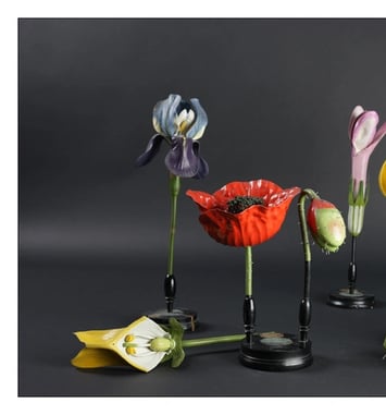 Découverte des modèles de fleurs de la maison Deyrolle