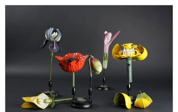Découverte des modèles de fleurs de la maison Deyrolle