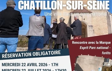 Visite commentée de Châtillon-sur-Seine, une ville dans un Parc national