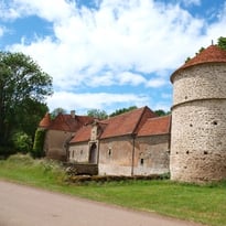 Visite guidée de l'intérieur et libre du parc du Château de Promenois
