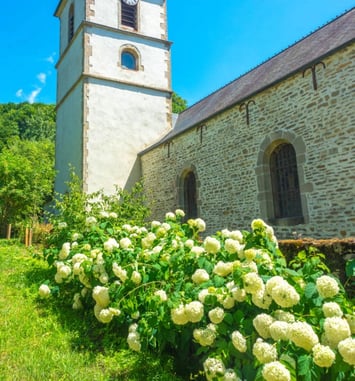 Visite de l'église de Bussy-la-Pesle