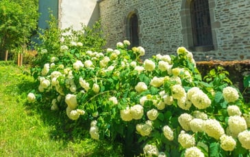 Visite de l'église de Bussy-la-Pesle