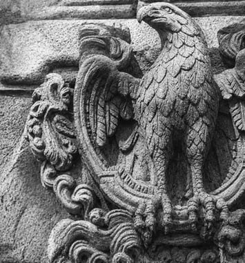 Sculpture en direct de la tête de l'aigle disparue