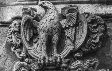 Sculpture en direct de la tête de l'aigle disparue