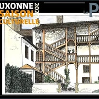 Visite guidée de l'exposition « Thérèse Dubuisson »