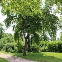 Visite libre du parc