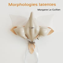Morphologies latentes