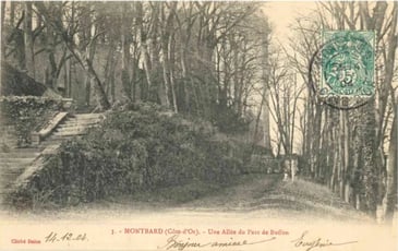 Jeu de piste photographies anciennes du Parc Buffon