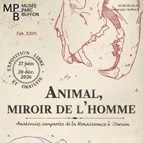Animal, miroir de l'homme, Anatomies comparées de la Renaissance à Darwin