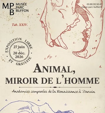 Animal, miroir de l'homme, Anatomies comparées de la Renaissance à Darwin