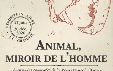 Animal, miroir de l'homme, Anatomies comparées de la Renaissance à Darwin