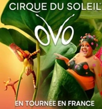 Ovo, Cirque du Soleil