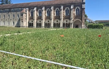 Visite guidée de l'abbaye de Cîteaux