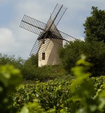Visite du Moulin Sorine