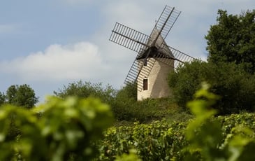 Visite du Moulin Sorine