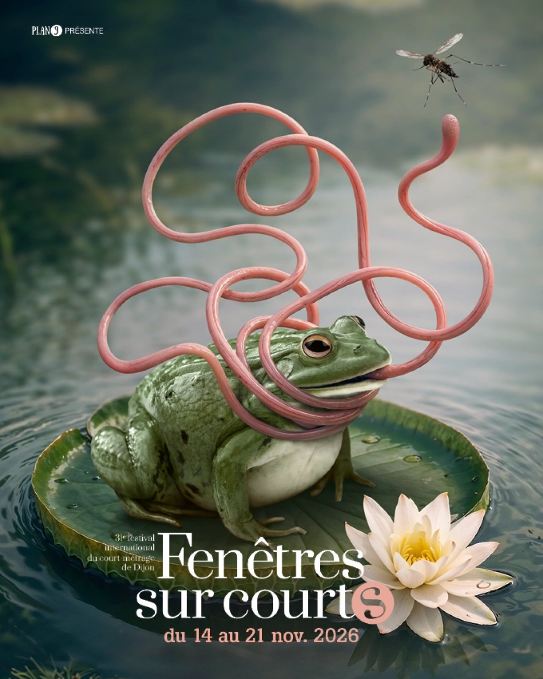 Fenêtres sur courts, festival international de court-métrage