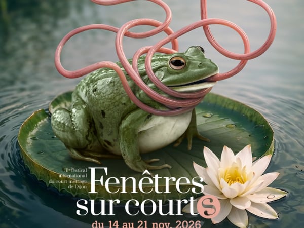 Fenêtres sur courts