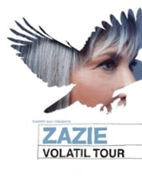 Zazie, Volatil Tour, Tournée des Zéniths