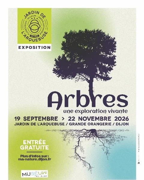 Arbres, une exploration vivante