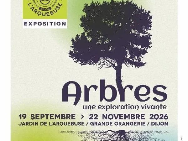 Arbres, une exploration vivante