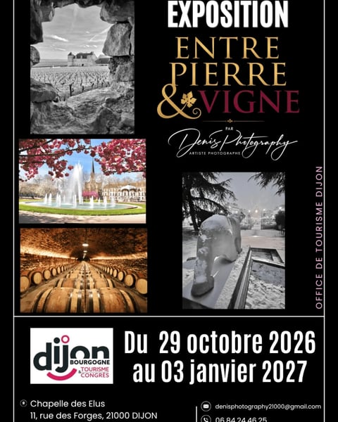 Entre pierre et vigne