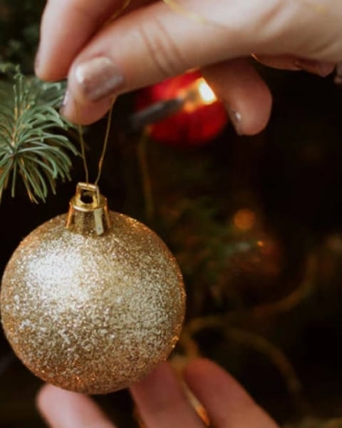 Les Cadeaux Secrets du Père Noël