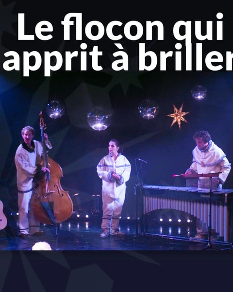 Le flocon qui apprit à briller