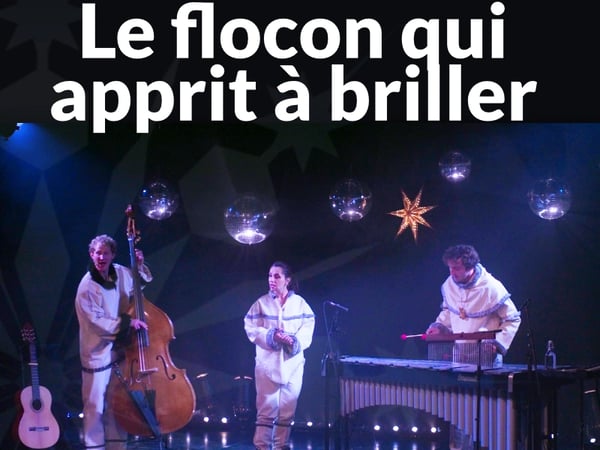 Le flocon qui apprit à briller