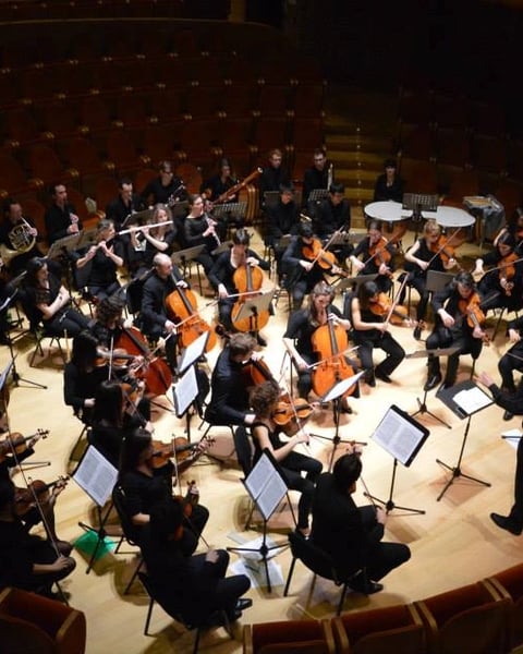 Ensemble orchestral de Dijon au Château Philippe le Hardi