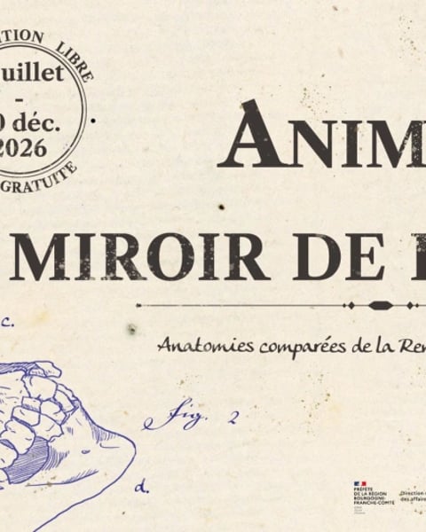 Animal miroir de l'homme