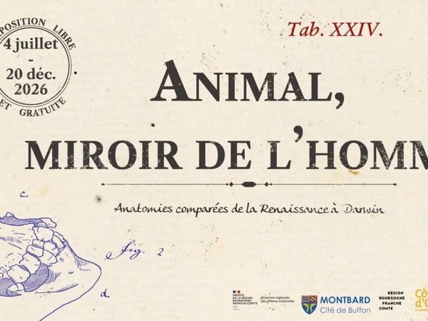 Animal miroir de l'homme